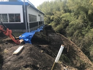 建物側面・外構 改修前